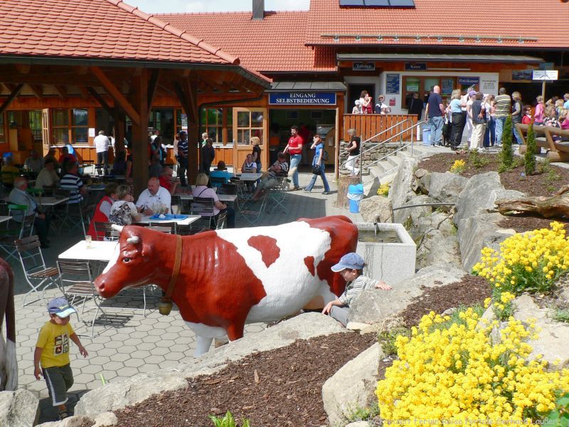 Bayern Sommerrodelbahn Sankt Englmar Grün Bayerischer Wald